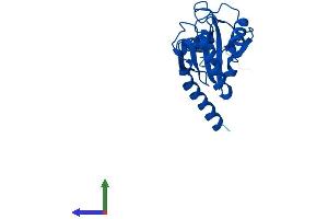 AlphaFold protein structure predicition of Human Recombinant GPX8 Protein, UniprotID Q8TED1