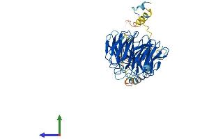 AlphaFold protein structure predicition of Mouse Recombinant Fzr1 Protein, UniprotID Q9R1K5