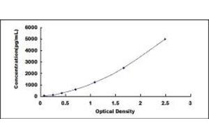 LIPG ELISA Kit