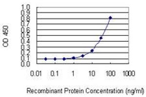 Detection limit for recombinant GST tagged NCSTN is 1 ng/ml as a capture antibody. (Nicastrin antibody  (AA 16-115))