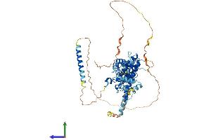 AlphaFold protein structure predicition of Mouse Recombinant Cdt1 Protein, UniprotID Q8R4E9