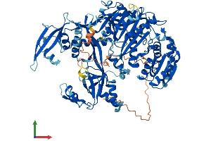 AlphaFold protein structure predicition of Mouse Recombinant Piwil4 Protein, UniprotID Q8CGT6 (PIWIL4 Protein (AA 1-848) (His tag))