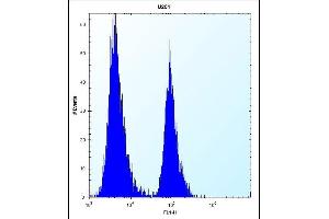 ST5 Antibody (C-term) (ABIN652186 and ABIN2840676) flow cytometric analysis of  cells (right histogram) compared to a negative control cell (left histogram). (ST5 antibody  (C-Term))