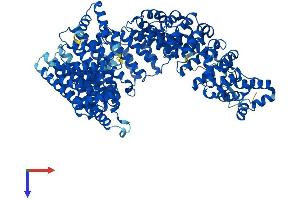 Importin 11 Protein (IPO11) (AA 1-975) (His tag)