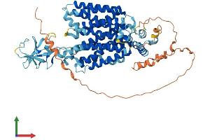 AlphaFold protein structure predicition of Mouse Recombinant Slc22a16 Protein, UniprotID Q497L8