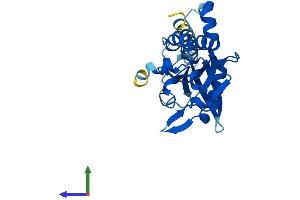 AlphaFold protein structure predicition of Mouse Recombinant Ctdnep1 Protein, UniprotID Q3TP92