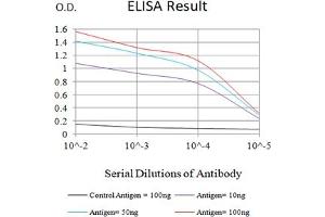 Black line: Control Antigen (100 ng),Purple line: Antigen (10 ng), Blue line: Antigen (50 ng), Red line:Antigen (100 ng) (Chromogranin A antibody  (AA 278-457))