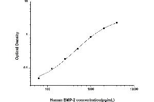 BMP2 ELISA Kit