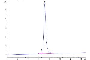 The purity of Mouse VEGF R2 is greater than 95 % as determined by SEC-HPLC. (VEGFR2/CD309 Protein (AA 20-762) (His tag))