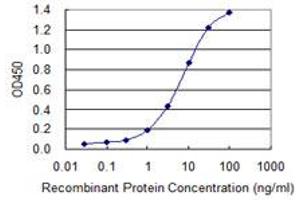 Detection limit for recombinant GST tagged SNX16 is 0. (SNX16 antibody  (AA 1-344))
