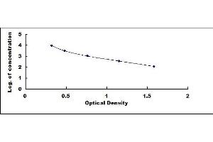 Typical standard curve