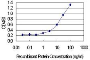 Detection limit for recombinant GST tagged CALB1 is 0. (CALB1 antibody  (AA 1-261))