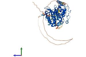 Protein Structure (PS) image for Receptor-Interacting Serine-threonine Kinase 2 (RIPK2) (AA 1-539) protein (His tag) (ABIN7563471)