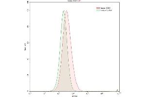 Detection of 0 in HepG2 human hepatocellular carcinoma cell line using Anti-Superoxide Dismutase Copper Chaperone Polyclonal Antibody (Superoxide dismutase copper chaperone antibody  (AA 23-269))