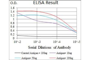 ELISA image for anti-Myocyte Enhancer Factor 2C (MEF2C) (AA 1-125) antibody (ABIN1846463)