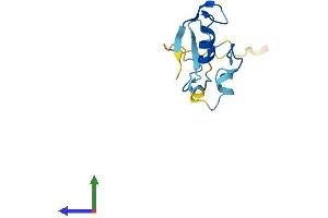 AlphaFold protein structure predicition of Human Recombinant RBX1 Protein, UniprotID P62877 (RBX1 Protein (AA 1-108) (His tag))