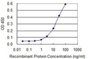 Detection limit for recombinant GST tagged SERGEF is 1 ng/ml as a capture antibody. (SERGEF antibody  (AA 240-337))
