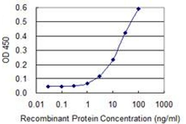 SERGEF antibody  (AA 240-337)