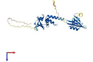 AlphaFold protein structure predicition of Human Recombinant KCTD15 Protein, UniprotID Q96SI1 (KCTD15 Protein (AA 1-283) (His tag))