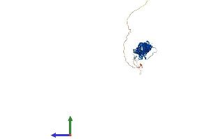 Protein Structure (PS) image for Tektin 3 (TEKT3) (AA 1-490) protein (His tag) (ABIN7544307)