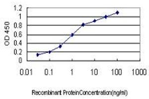 Detection limit for recombinant GST tagged NGB is approximately 0. (Neuroglobin antibody  (AA 1-151))