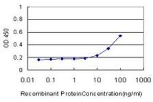 Detection limit for recombinant GST tagged MEF2A is approximately 10ng/ml as a capture antibody. (MEF2A antibody  (AA 71-170))