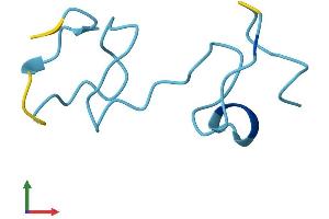 Protein Structure (PS) image for Metallothionein 1E (MT1E) (AA 1-61) protein (Fc Tag) (ABIN7549596)