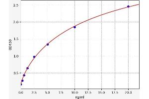 Typical standard curve (ErbB2/Her2 ELISA Kit)