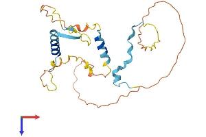 Chromosome 9 Open Reading Frame 152 (C9orf152) (AA 1-239) protein (His tag)