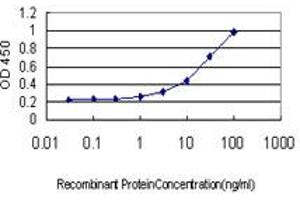 Detection limit for recombinant GST tagged GREM1 is approximately 0. (GREM1 antibody  (AA 75-184))