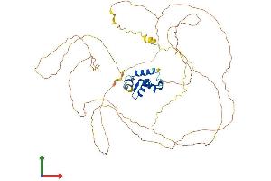 AlphaFold protein structure predicition of Mouse Recombinant Foxo6 Protein, UniprotID Q70KY4