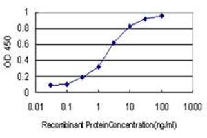 Detection limit for recombinant GST tagged NUDC is approximately 0. (NUDC antibody  (AA 1-331))