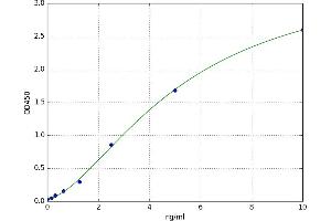Myosin, Heavy Polypeptide 10, Non-Muscle (MYH10) ELISA Kit