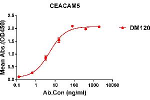 ELISA plate pre-coated by 1 μg/mL (100 μL/well) Human CEACAM5 protein, His tagged protein ((ABIN6961129, ABIN7042287 and ABIN7042288)) can bind Rabbit anti-CEACAM5 monoclonal antibody(clone: DM120) in a linear range of 0. (CEACAM5 antibody  (AA 35-685))