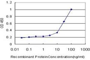 Detection limit for recombinant GST tagged CAMK2A is approximately 0. (CAMK2A antibody  (AA 305-410))
