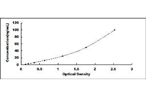 Typical standard curve (HSP70 1A ELISA Kit)