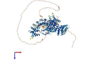 Adaptor-Related Protein Complex 3, beta 2 Subunit (AP3B2) (AA 1-1082) protein (His tag)