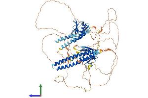 Protein Structure (PS) image for Actin Filament Associated Protein 1-Like 2 (AFAP1L2) (AA 1-825) protein (His tag) (ABIN7557431)