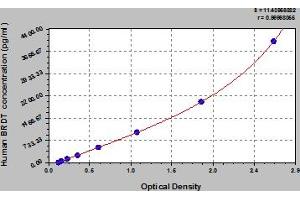 Typical Standard Curve (BRDT ELISA Kit)