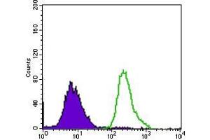 Flow Cytometry (FACS) image for anti-Purinergic Receptor P2Y, G-Protein Coupled, 13 (P2RY13) (AA 1-49) antibody (ABIN1724826)