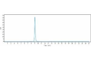 The purity of Anti-TfR Reference Antibody (Jr-141) is more than 95 % , determined by SEC-HPLC.
