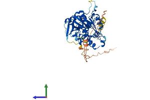 Protein Structure (PS) image for NDRG Family Member 3 (NDRG3) (AA 1-375) protein (His tag) (ABIN7561789)