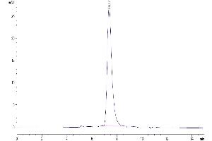 The purity of Human KIR2DL2 is greater than 95 % as determined by SEC-HPLC.