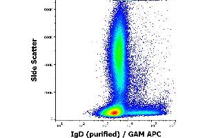 Flow cytometry surface staining pattern of human peripheral whole blood stained using anti-human IgD (IA6-2) purified antibody (concentration in sample 0,33 μg/mL, GAM APC). (Mouse anti-Human IgD Antibody)