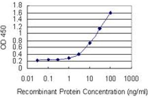 Detection limit for recombinant GST tagged RBP5 is 0. (Retinol Binding Protein 5 antibody  (AA 1-135))