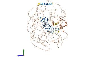 AlphaFold protein structure predicition of Human Recombinant LRRC53 Protein, UniprotID A6NM62 (LRRC53 Protein (AA 1-1247) (His tag))