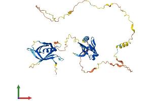 Protein Structure (PS) image for DOK2 (DOK2) (AA 1-412) protein (His tag) (ABIN7562552)