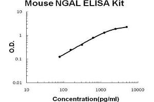 Mouse Lipocalin-2/NGAL PicoKine ELISA Kit standard curve