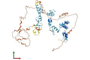 AlphaFold protein structure predicition of Human Recombinant ZNF837 Protein, UniprotID Q96EG3