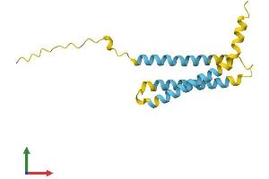 Protein Structure (PS) image for Ninjurin 2 (NINJ2) (AA 1-142) protein (His tag) (ABIN7549834)